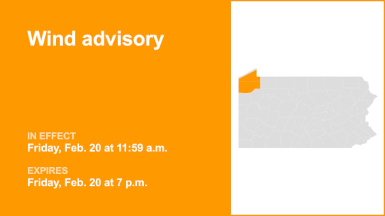 Wind advisory for Southern Erie and Crawford County until Friday evening – gusts may reach 50 mph