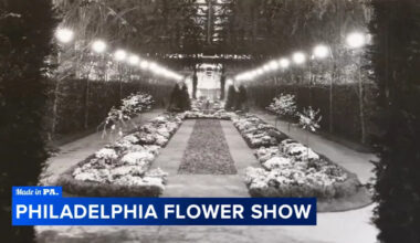 Yahoo lifestyle home