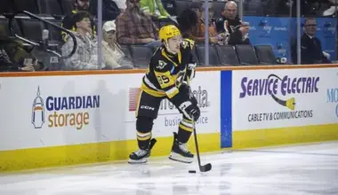 Penguins assign forwards Avery Hayes, Rutger McGroarty to Wilkes-Barre/Scranton