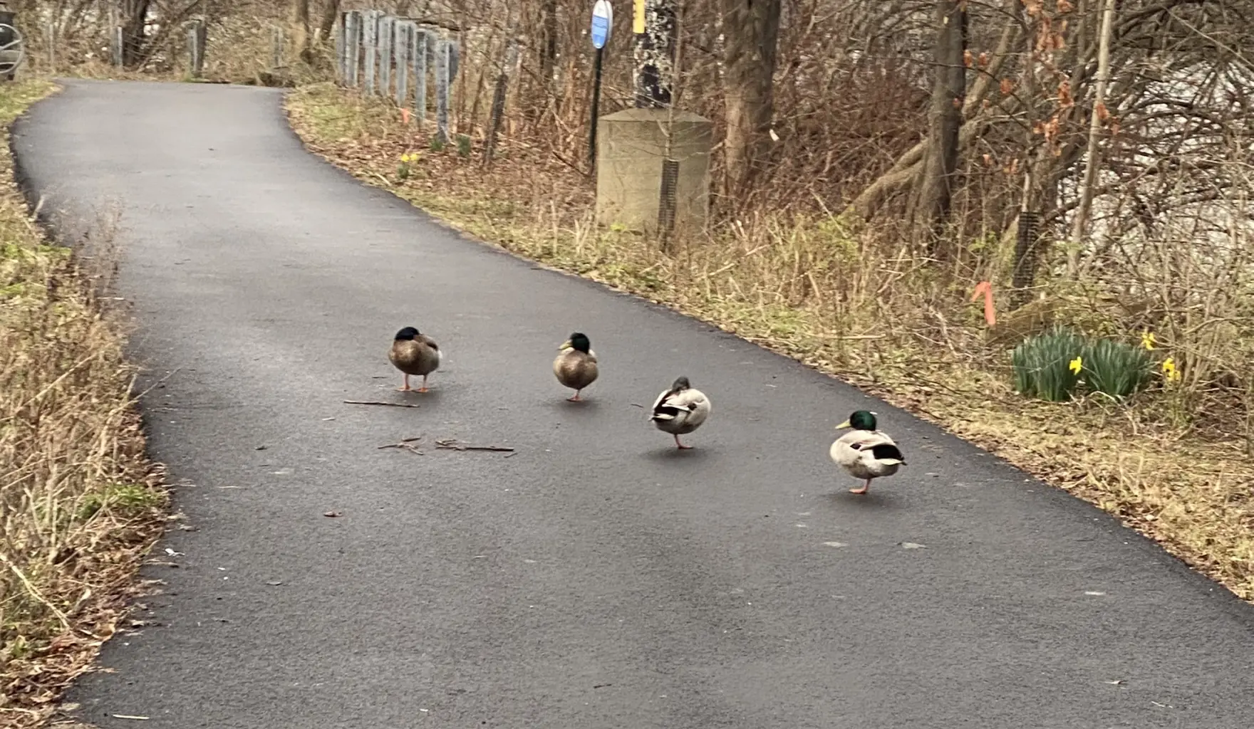 A new initiative will maintain Pittsburgh's riverfront trails and parks