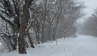 Fatal fire in Braddock under investigation