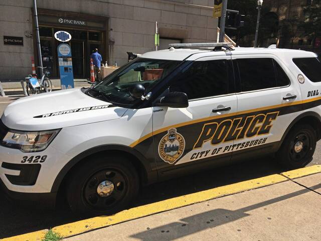 Homeowner fatally stabs man who broke into Lincoln-Lemington-Belmar house, police say