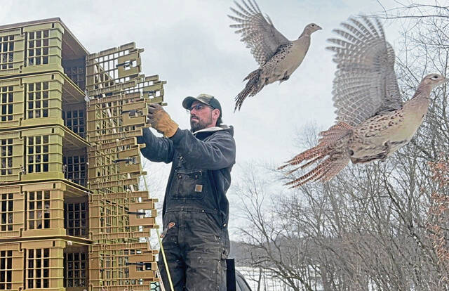 Ex-boyfriend testifies New Florence woman ‘despised’ her mother, discussed wanting to kill her