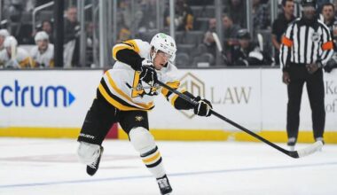 Penguins forward Filip Hallander sent to Wilkes-Barre/Scranton for conditioning assignment