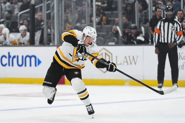 Penguins forward Filip Hallander sent to Wilkes-Barre/Scranton for conditioning assignment