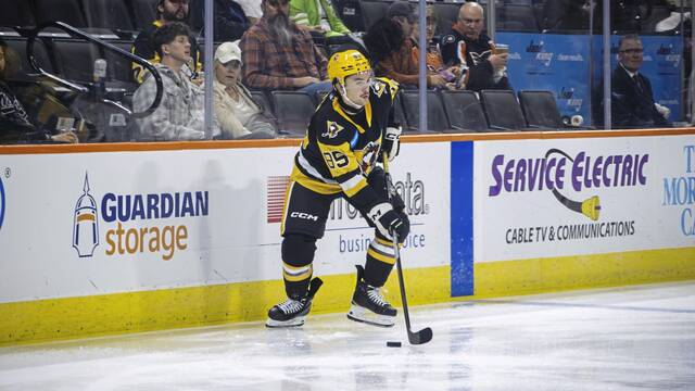 Penguins recall forward Avery Hayes from Wilkes-Barre/Scranton