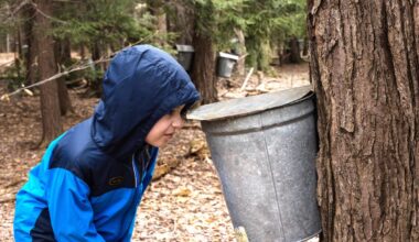 The Asbury Woods Maple Festival 2026 Is Bigger, Sweeter & More Festive