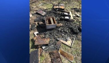 Pennsylvania family-owned beehive farm intentionally destroyed