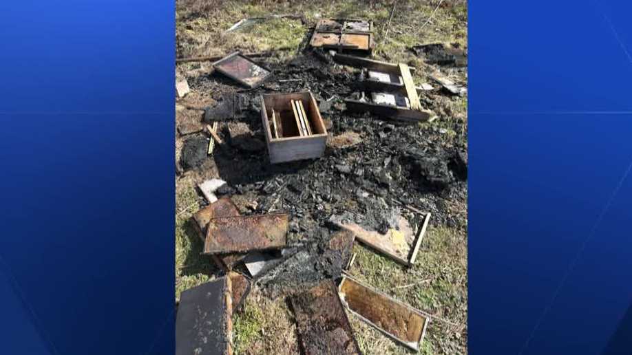 Pennsylvania family-owned beehive farm intentionally destroyed