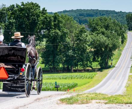 Amish Open Horse and Buggy