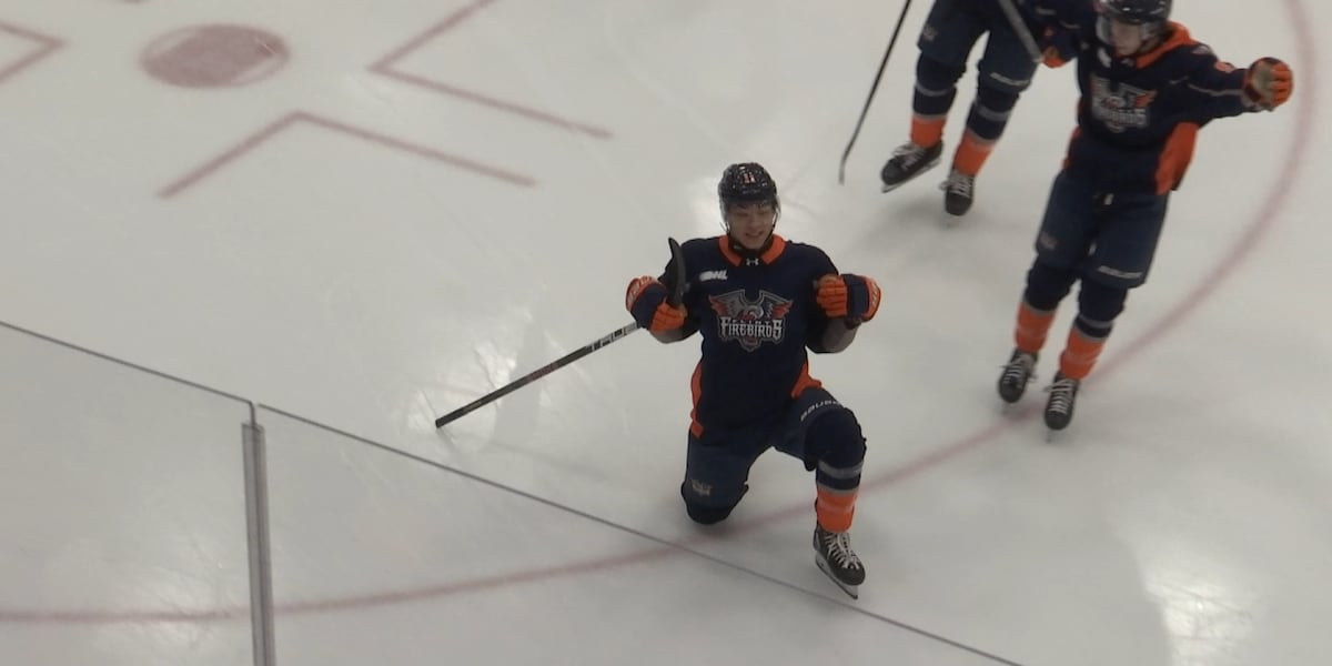 Courville stops 28 shots as Firebirds defeat Otters 3-1