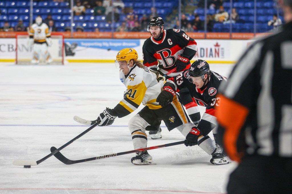 Koivunen returning to form with Wilkes-Barre/Scranton – Wilkes-Barre Citizens' Voice