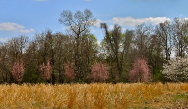 276,000 Acres of Public Land in Plain Sight