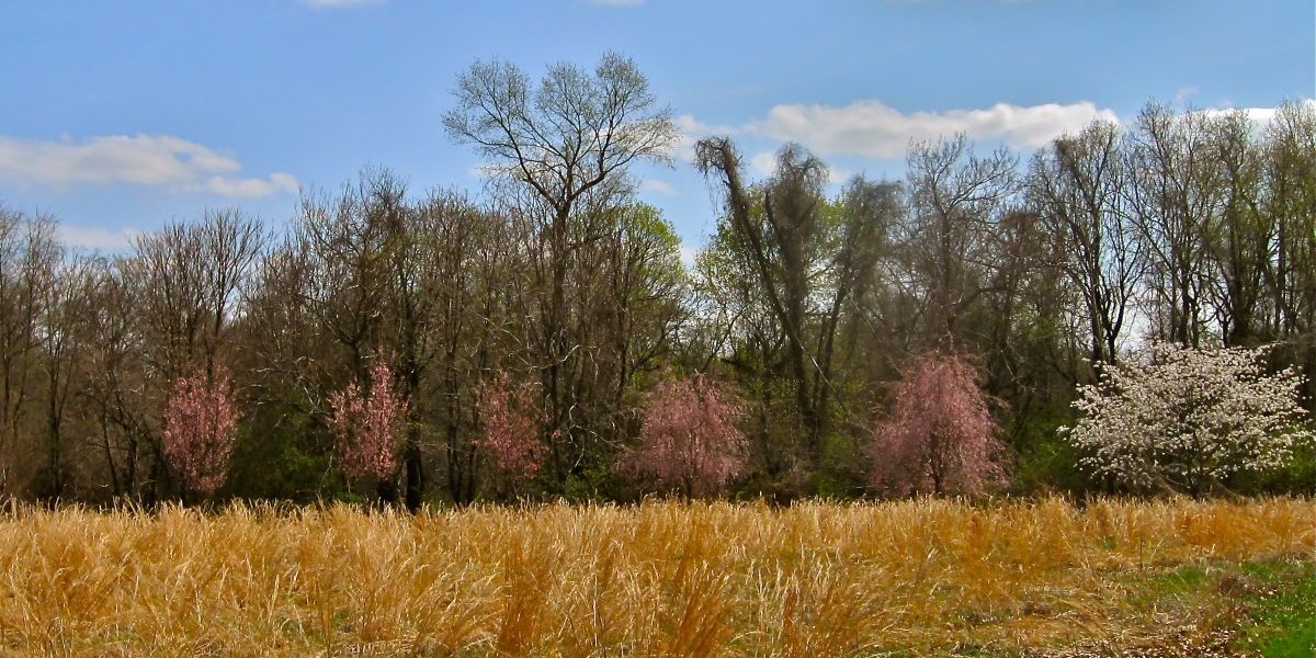 276,000 Acres of Public Land in Plain Sight