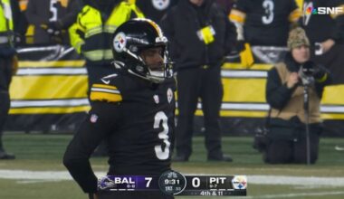 Four Candidates To Fix Pittsburgh's Punting Issue