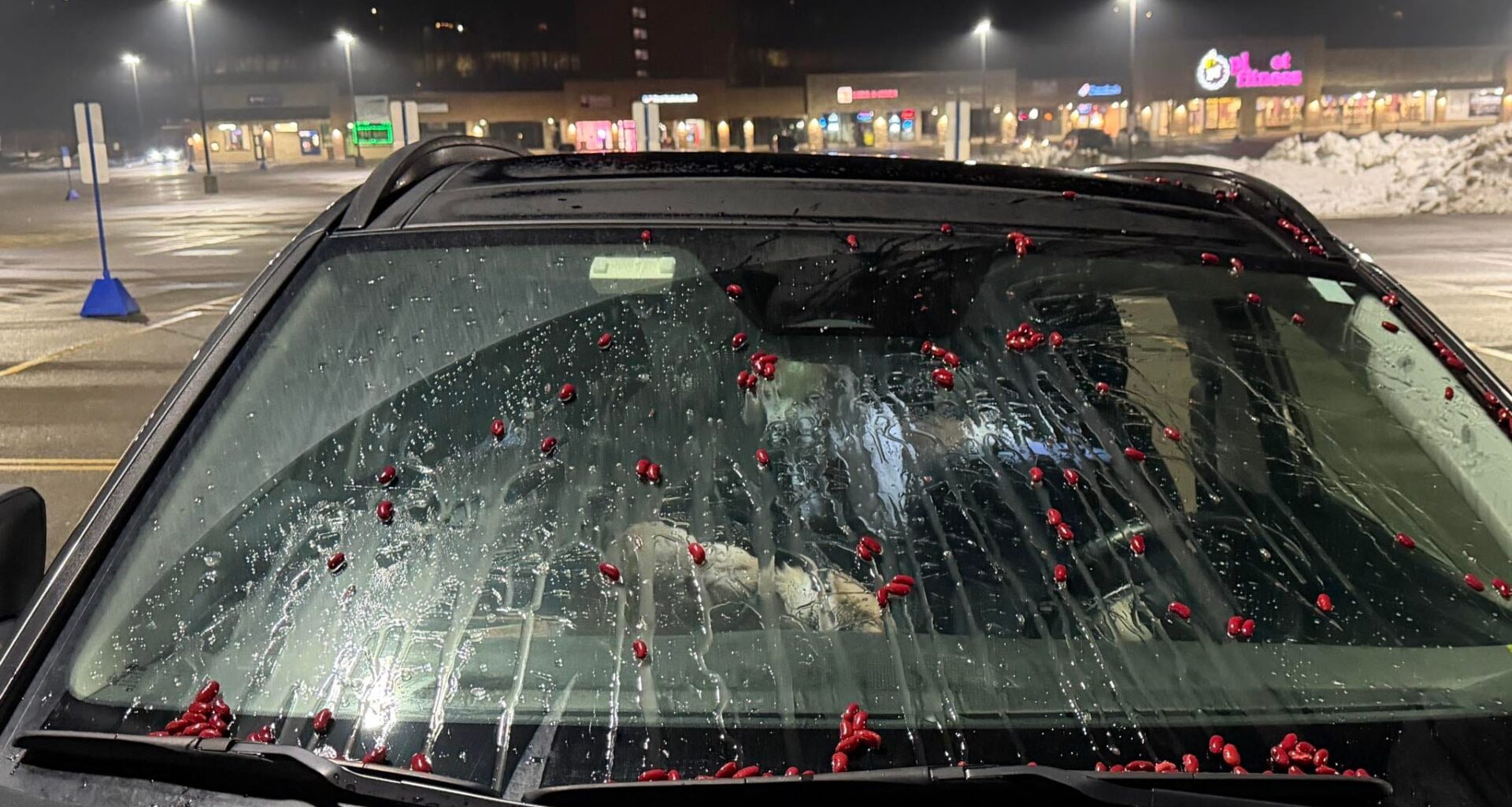 Pittsburgh business owner’s car vandalized with beans