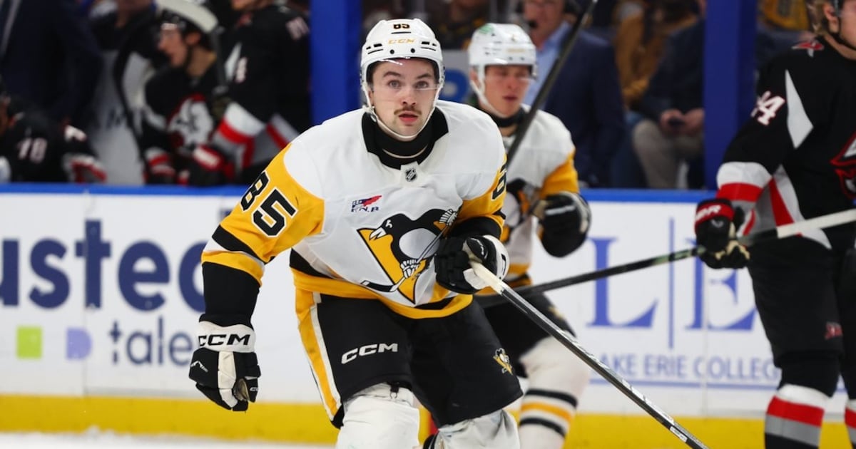 Avery Hayes scores twice in his NHL debut, Pittsburgh Penguins beat Buffalo Sabres