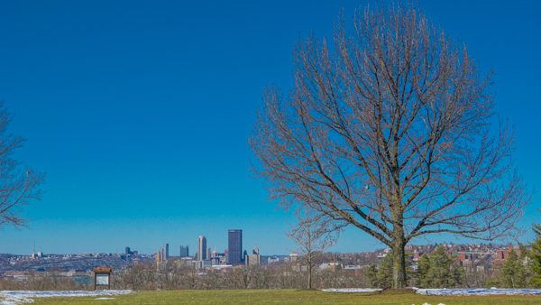 Pittsburgh from Schenley Park