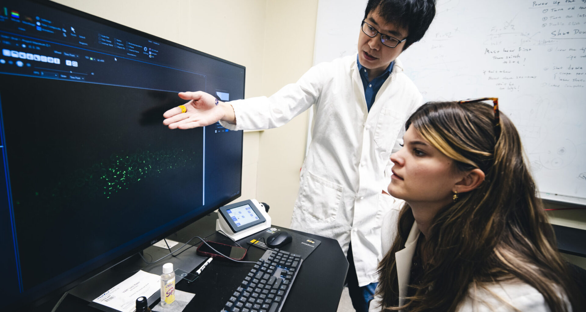 $430,000 MIRA grant awarded to Dr. Chenshu Liu to advance his research