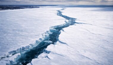 Satellite image shows a 128 km wide fissure opening in Lake Erie between Canada and the United States in less than 4 hours; ice coverage reached 95%, and the phenomenon could alter snow patterns in the region.