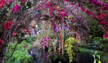 2026 Philadelphia Flower Show: Here are 5 can't-miss exhibits