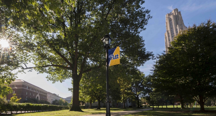 Faculty fellows bring range of expertise to enhanced Seminar in Composition program | University Times