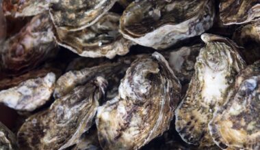 FDA Extends Warning about Oysters to Pennsylvania