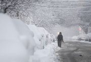 PHILADELPHIA, PENNSYLVANIA - FEBRUARY 23: Residents in Philadelphia dig out their cars as heavy snow continues to fall on February 23, 2026 in Philadelphia, Pennsylvania. A Nor'Easter brought over a foot of snow to some areas along the east coast impacting travel throughout the region, with snow continuing until the afternoon.  (Matthew Hatcher/Getty Images)