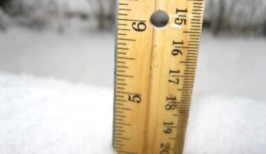 Up to a foot of snow in forecast for Berks