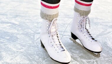 woman skating on the Allegheny River near Waterworks