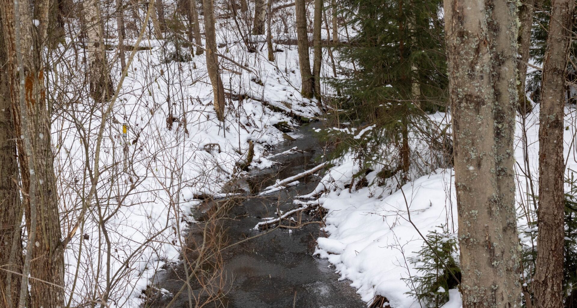 High levels of chemicals found in waterways near Airport