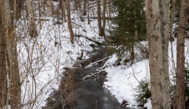 High levels of chemicals found in waterways near Airport