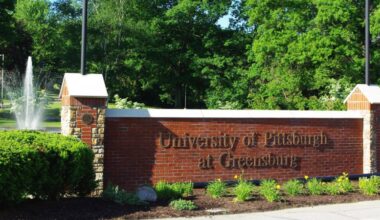 Pitt Day of Giving had 11,431 donors and raised $3.04 million | University Times