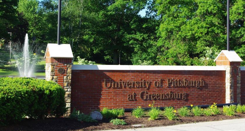 Pitt Day of Giving had 11,431 donors and raised $3.04 million | University Times