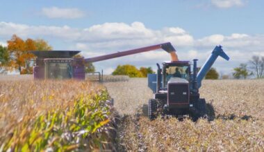 Pennsylvania invests nearly $7.1M to preserve farms, including one in Sugarloaf Twp.