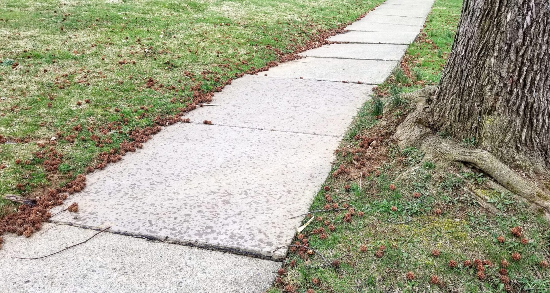 Hellertown Starting Renewed Enforcement of Sidewalk Ordinance – Saucon Source