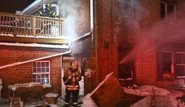 Pet perishes in Drexel Hill house fire