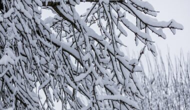 How much snow has fallen across Pa.? And when will it stop?