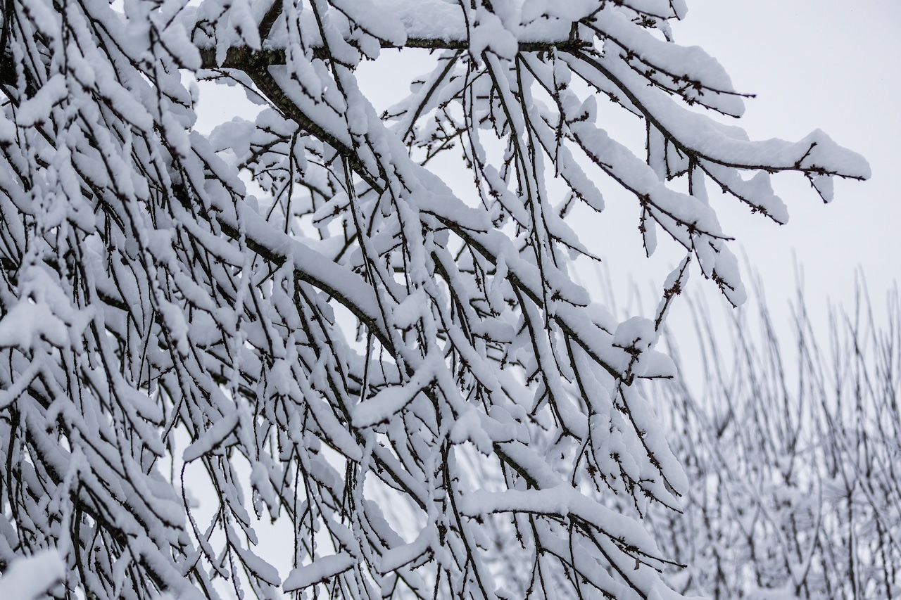 How much snow has fallen across Pa.? And when will it stop?