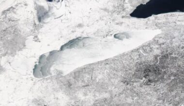 Lake Erie could hit rare 100% ice coverage as freeze-over window narrows