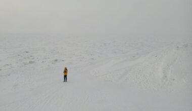 A frozen Lake Erie, in photos