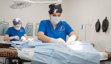 Animal Rescue League nominated for Dual Impact Champion Snippy Award