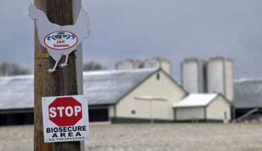 Berks lawmaker provides update ongoing avian flu surge