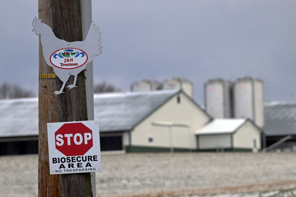 Berks lawmaker provides update ongoing avian flu surge