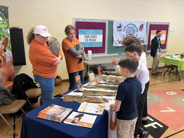Attendees meet Elliot and Lilly, the ambassador groundhogs from Acorn Acres, during the Pennsylvania German Zammelaaf's Groundhog Lodge for Youth event on Jan. 31. (Photo courtesy of Mary Laub)