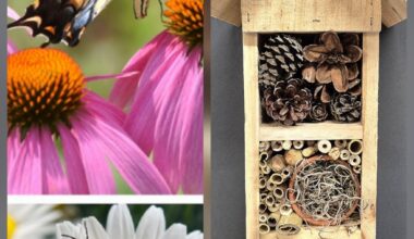 Pollinator workshop at the Daniel Boone Homestead