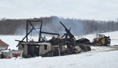Fire destroys ‘old barn’ at historic Ross Farm, killing 138 sheep
