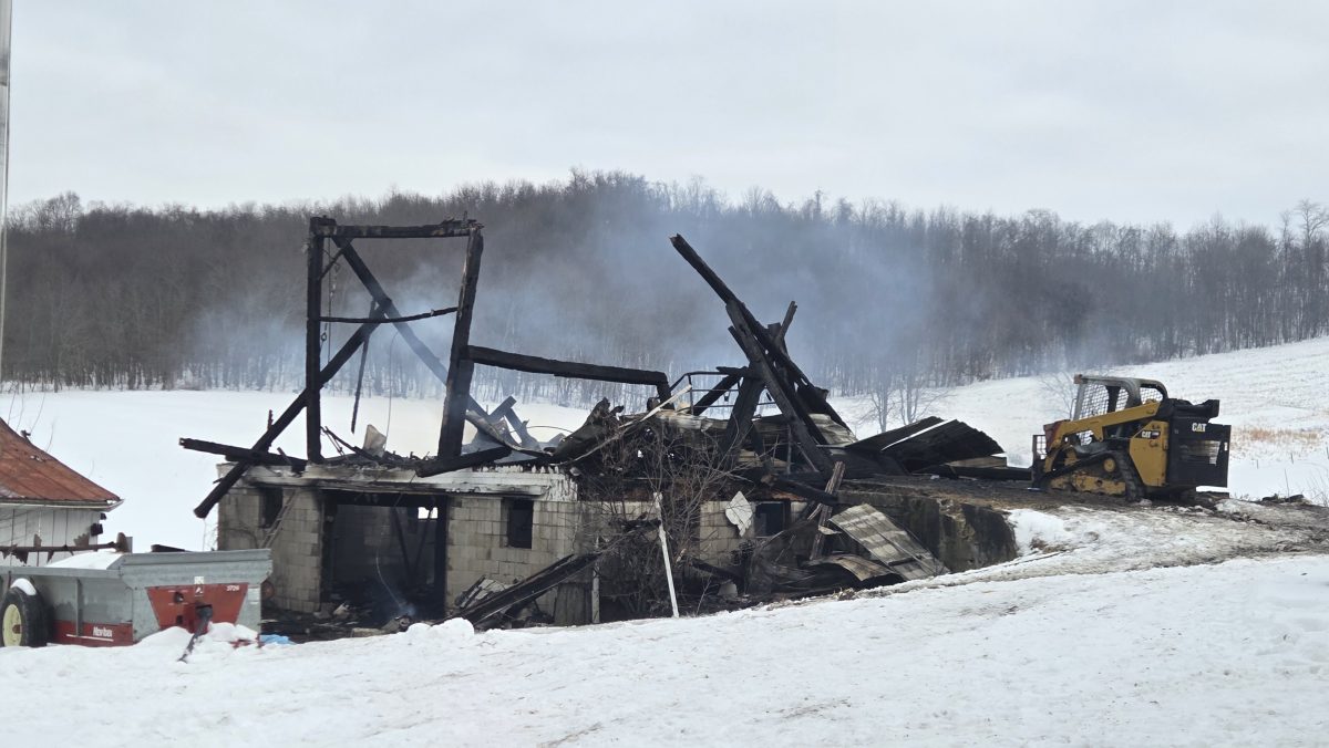 Fire destroys ‘old barn’ at historic Ross Farm, killing 138 sheep