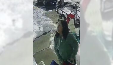 Moosic police seek help identifying ICE flag vandal