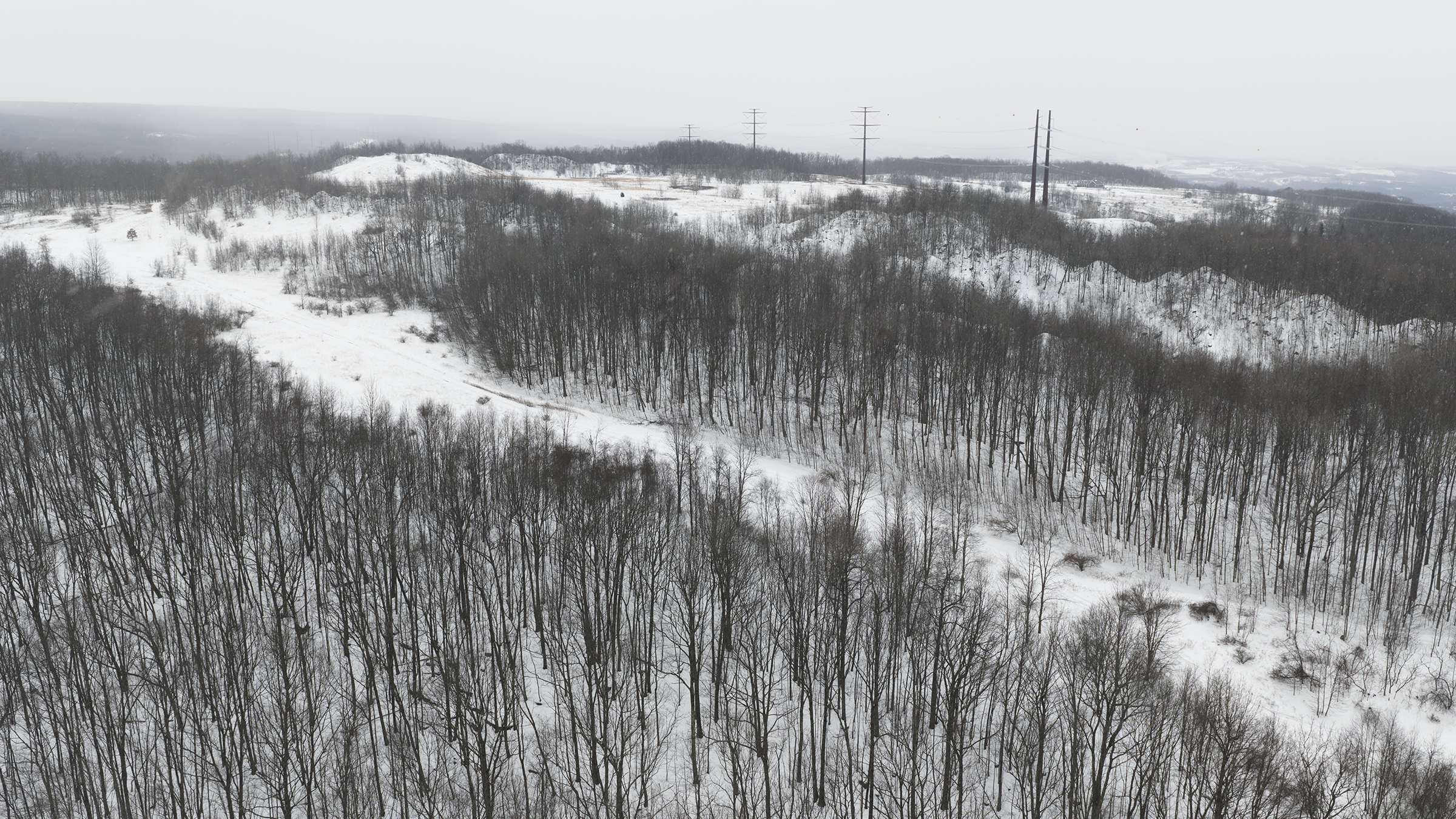 Power lines run southeast in Archbald Friday, February 6, 2026....